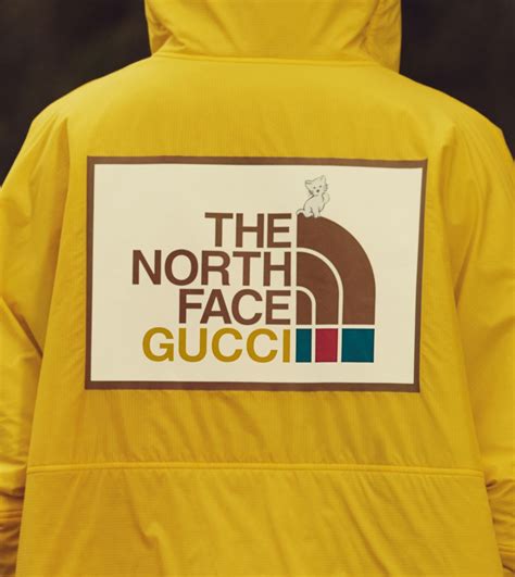 the north face gucci collab price|north face Gucci full collection.